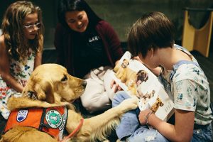 UBC study demonstrates dogs promote page turning