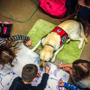 B.A.R.K. researchers seek grade 6 and 7 teachers for public speaking study