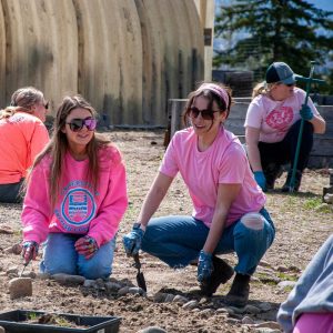 Building up biodiversity in our campus backyard