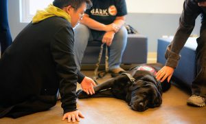 Canine cuddles can comfort equally across all genders