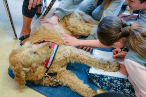 Paws, Presence, and Emotional Growth